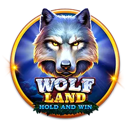 bingo patterns basic how to bet in sports online